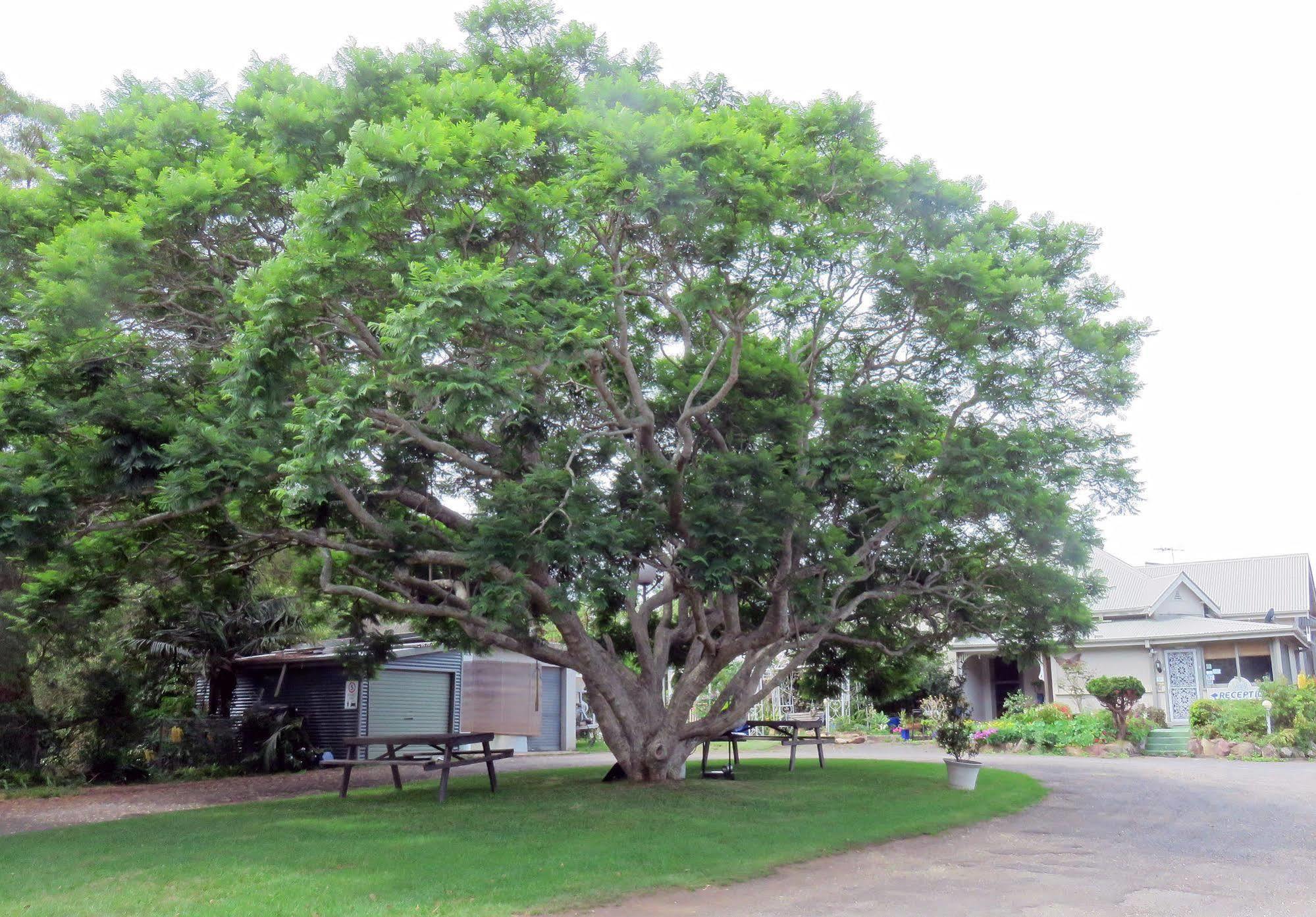 Ecotel Narooma North Narooma Exterior photo